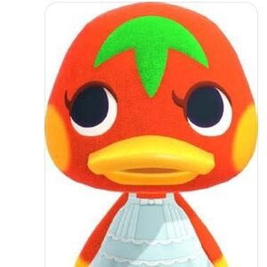 Meet your Posher, Macey